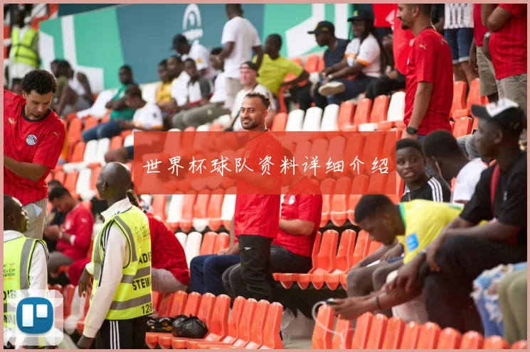 世界杯球队资料详细介绍
