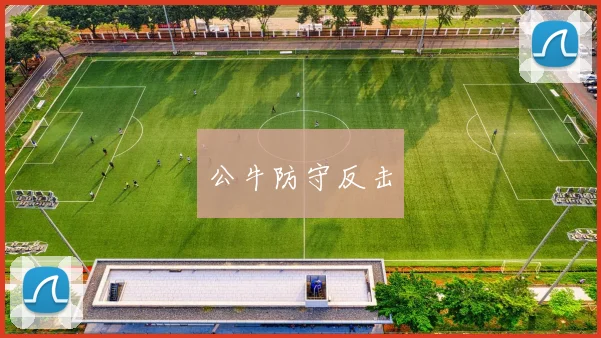 公牛防守反击